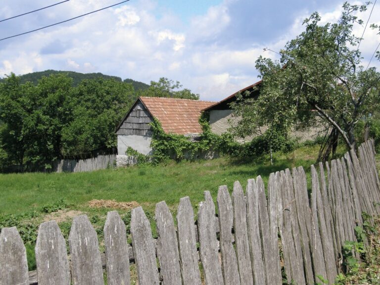 Amendat de Poliția locală Iași pentru un gard făcut de părinții săi acum 33 de ani. Cazul a ajuns la judecată: polițiștii, puși la plată