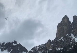 Patru alpinişti au căzut peste 120 de metri într-o râpă. Unul dintre ei a supravieţuit, a reuşit să urce şi a plecat cu maşina până la un telefon pentru a cere ajutor