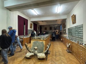 VIDEO/FOTO: Seara Muzeelor a adus sute de ieșeni în instituțiile de cultură din Iași