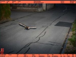 O rață din Elveția, înregistrată de un radar pentru „exces de viteză”