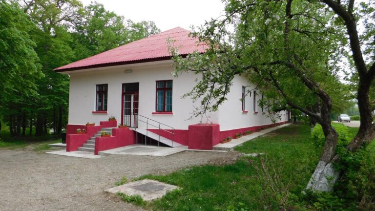 Spitalul de Psihiatrie Pădureni-Grajduri angajează manager