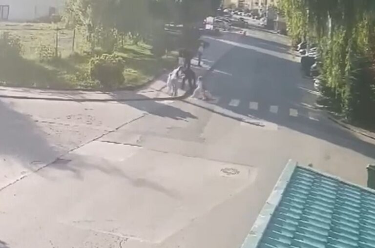 Tânăra împuşcată în Capitală a murit. A fost concurentă la emisiunea „Insula Iubirii”. Bărbatul s-a sinucis