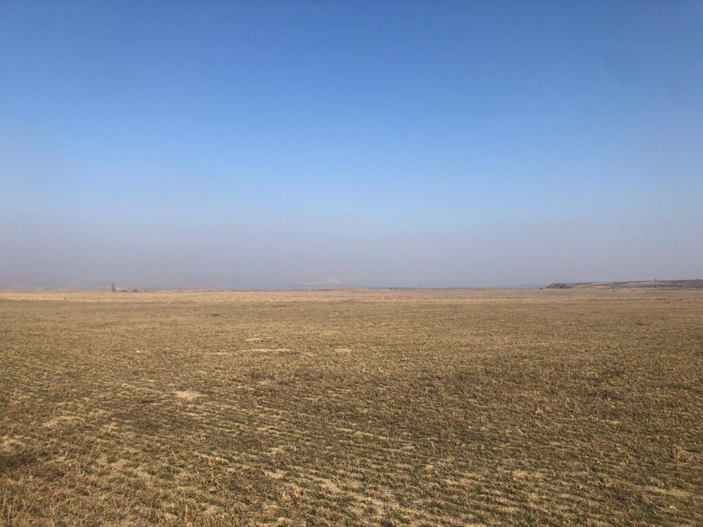 Cât teren agricol dețin în județ cetățenii străini? Suprafața e comparabilă cu 1% din teritoriul municipiului Iași. Locul 23 pe țară