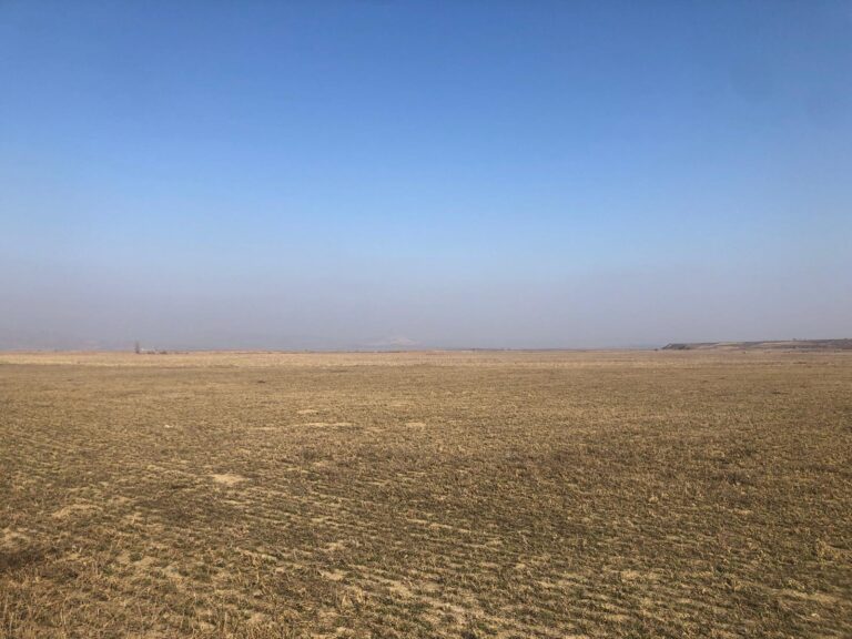 Cât teren agricol dețin în județ cetățenii străini? Suprafața e comparabilă cu 1% din teritoriul municipiului Iași. Locul 23 pe țară