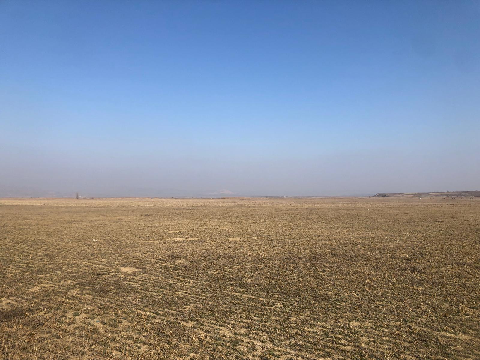 Cât teren agricol dețin în județ cetățenii străini? Suprafața e comparabilă cu 1% din teritoriul municipiului Iași. Locul 23 pe țară