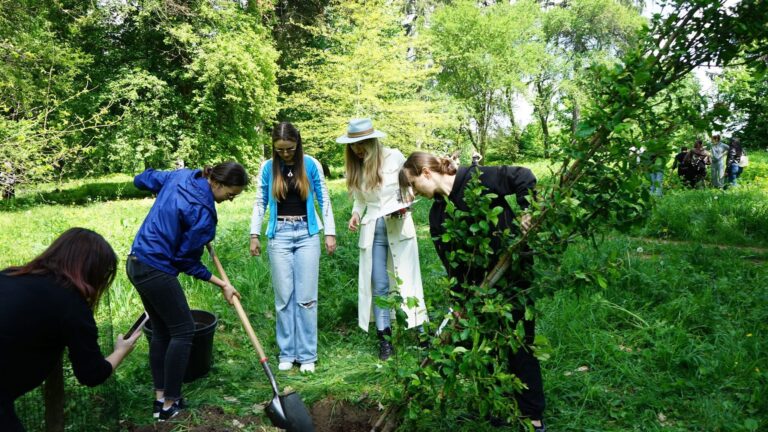 Studenții și profesorii USV Iași au plantat arbori ornamentali în Parcul Dendrologic din Văleni - FOTO