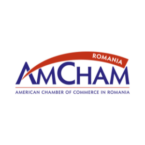 Camera de Comerţ Americană în România : România nu mai are luxul de a amâna deciziile dificile