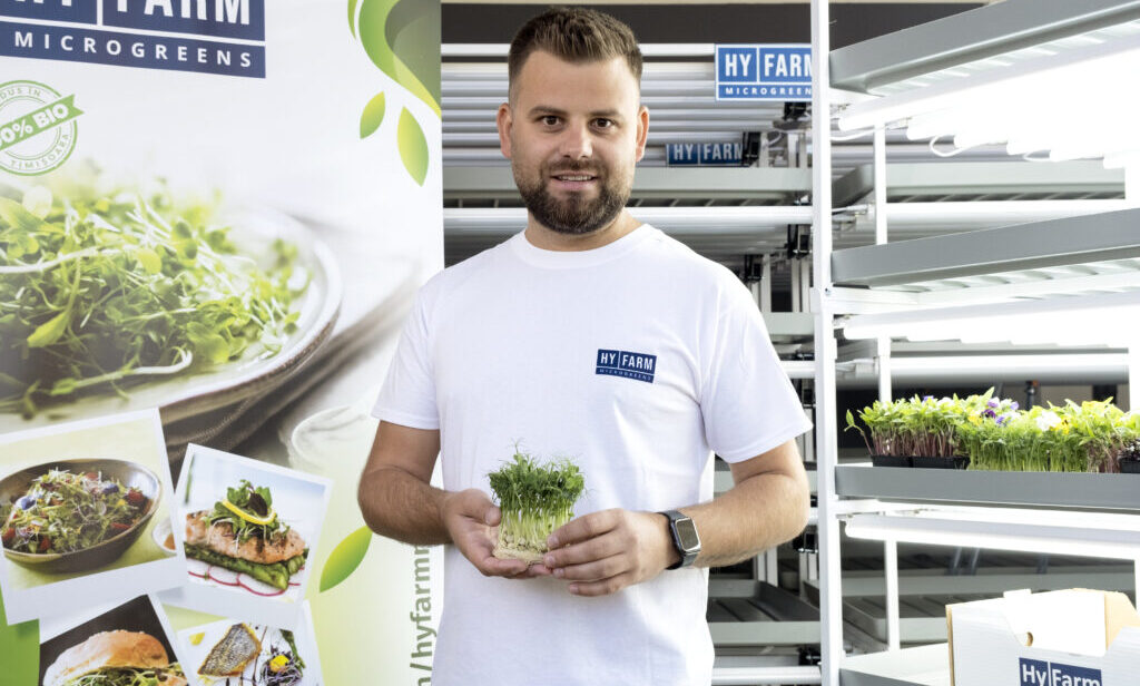 Cum ajung microplantele cultivate în Iași în farfuriile din mai multe țări europene? Povestea unei afaceri locale cu sute de francize și livrări în peste 15 țări