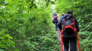 Traseul de weekend - Idee de drumeție prin Codrii Iașului: din comuna Bârnova pe vârful Movila Rotundă