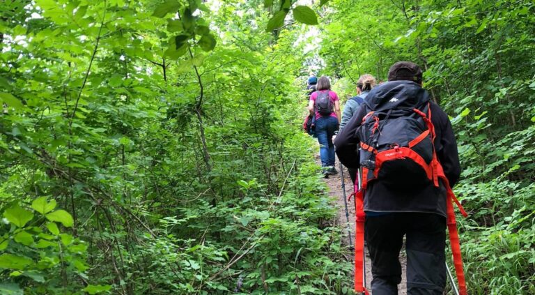 Traseul de weekend - Idee de drumeție prin Codrii Iașului: din comuna Bârnova pe vârful Movila Rotundă