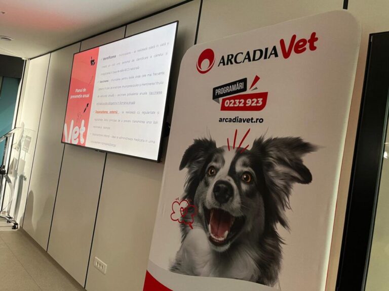 Workshop la Arcadia Vet, în cadrul Conferinței Naționale de Cardiologie Veterinară. Zile dedicate specialiștilor în domeniu