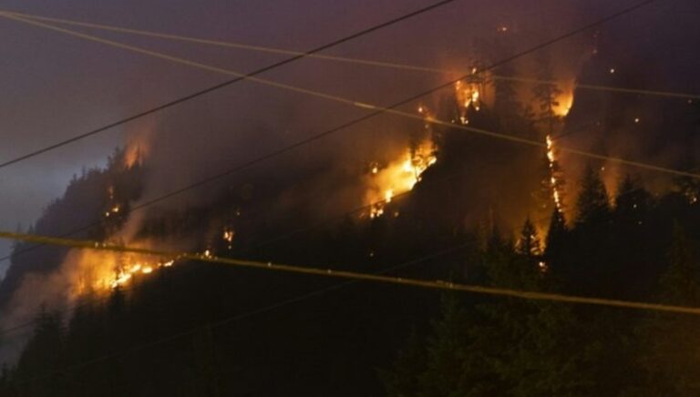 Incendiile de pădure se apropie de Vancouver, în vestul Canadei. 3,5 milioane de hectare au fost distruse, un pic mai mult decât suprafaţa Belgiei
