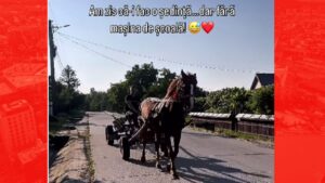 Un instructor auto din Piatra-Neamț a predat o oră de condus într-o căruță