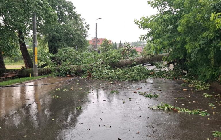 VIDEO/FOTO: Intervenție a pompierilor ieșeni pe strada Plopii fără Soț, după ce un copac s-a prăbușit și a afectat rețeaua electrică