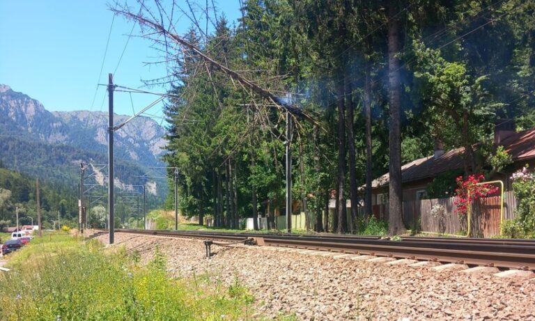 Copac căzut pe firele electrice între Sinaia şi Buşteni, traficul feroviar, întrerupt 