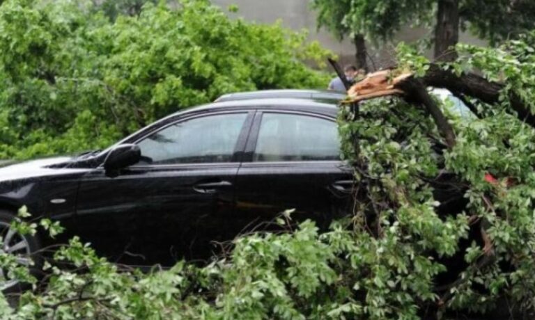 Misiune în dinamică – Arbore căzut peste trei autoturisme pe Aleea Tudor Neculai, municipiul Iași