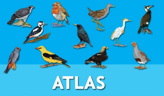  Monitorizarea pentru Atlasul Păsărilor Iașului, finalizată cu succes