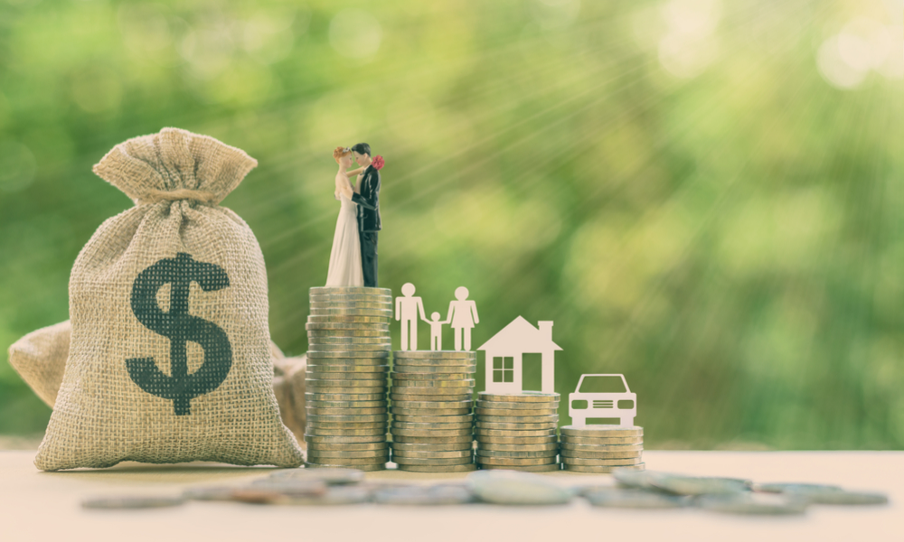  Averile la control! Ultimele „fotografii publice” ale averilor șefilor bugetarilor ieșeni. Azi: instituțiile din agricultură