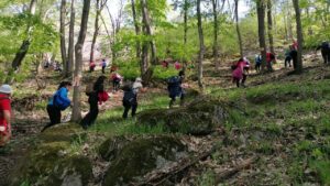 Traseul de weekend – Idee de drumeție prin Codrii Iașului: de pe Dealul Repedea la Gara Bârnova, cu popasuri în Poiana Rotundă și la fosta cabană Antibiotice