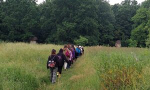 Traseul de weekend – Idee de drumeție prin Codrii Iașului: de la Gara Bârnova la Gara Grajduri, cu oprire în Poiana cu Schit
