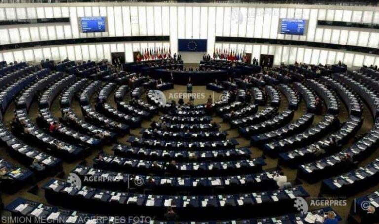 O lege despre bunăstarea pisicilor și a câinilor, dezbătută de eurodeputați