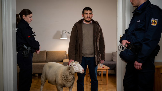 Un român din Germania, prins în apartamentul din Berlin cu trei oi furate dintr-un parc natural al țării. Ce plan avea cu ele?