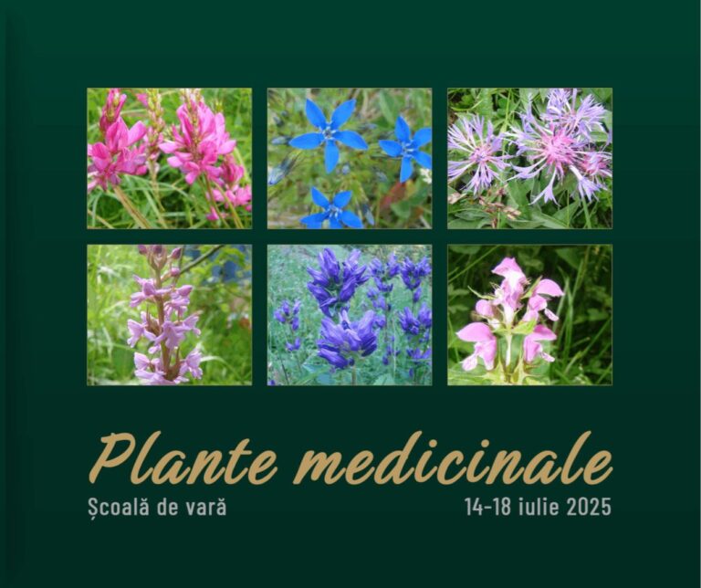 UMF Iași lansează selecția pentru Școala de vară „Plante medicinale”, destinată studenților din anul I