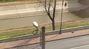 Vânt puternic, sâmbătă dimineață, la Iași