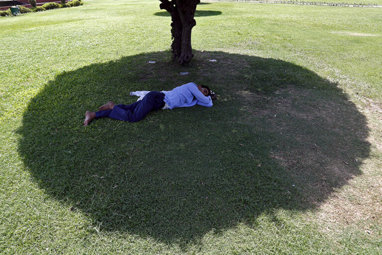 Produse anti-caniculă la îndemâna oricui