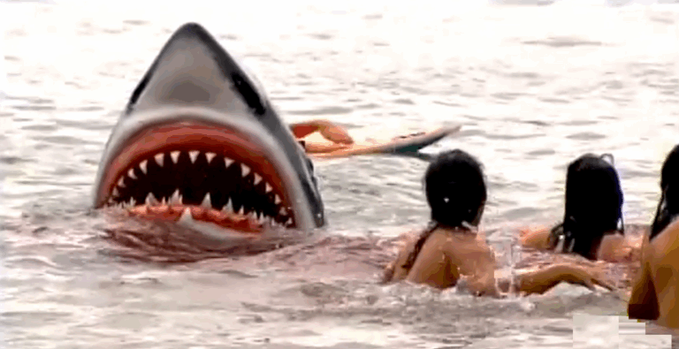 Australia: Un surfer ucis de un „mare rechin” , primul atac mortal în Sydney din 2022