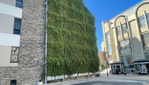 UMF Iași integrează un perete verde exterior Policlinicii de Stomatologie Pediatrică