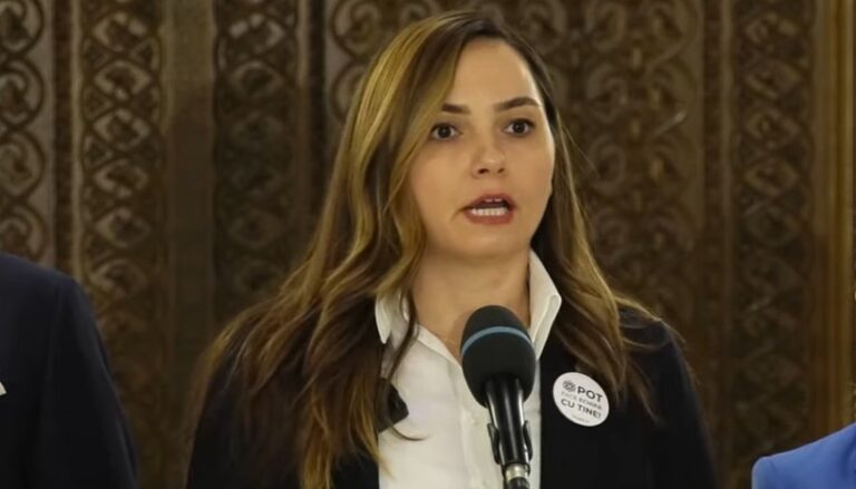 Anamaria Gavrilă (POT): Ministrul Educaţiei întoarce părinţii împotriva profesorilor. Greva putea fi evitată prin dialog