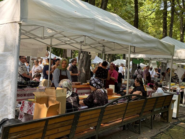 FOTO/VIDEO: Turcii și ieșenii și-au dat întâlnire în Copou. Ultima zi de Anatolian Fest aduce arome orientale, muzică și dans în Parcul Expoziției