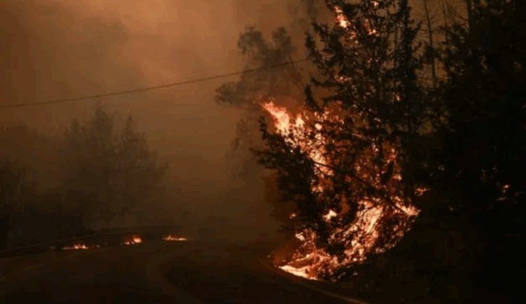MAE - În zilele următoare va creşte riscul de incendii în Grecia