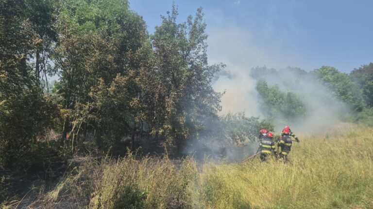 Incendiu în Grădina Botanică Iași. Zece pompieri se luptă cu flăcările, ca să oprească extinderea