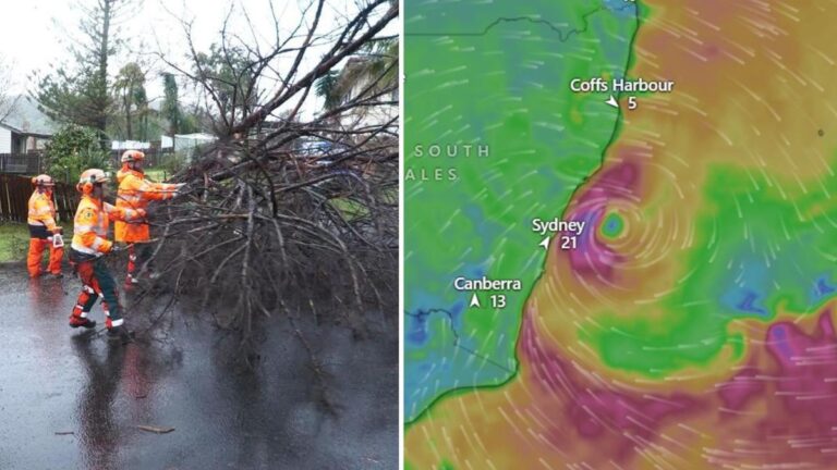 Un ciclon-bombă a lovit orașul Sydney (Australia). Zboruri anulate și mii de locuințe lăsate fără curent 