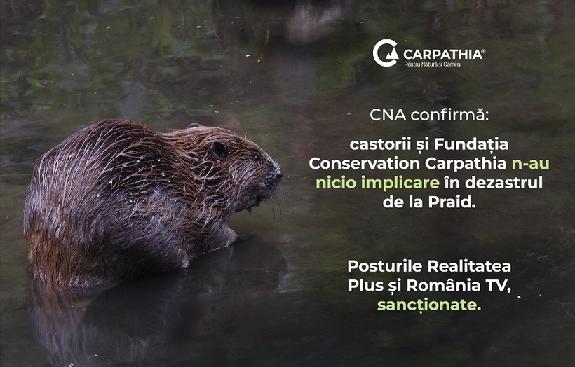 Televiziunile care au promovat dezinformarea privind castorii şi Salina Praid, sancționate de CNA