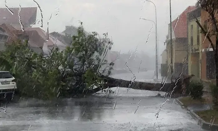  Misiune în dinamică – degajare arbore căzut pe carosabil, șoseaua Bârnova (mun. Iași)