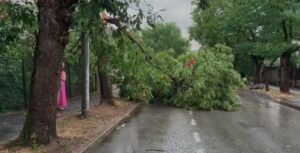 Timiş: Acoperiş căzut peste un copil de 10 ani şi mai mulţi copaci prăbuşiţi peste maşini sau peste drumuri, după o furtună puternică