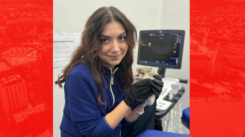  Durere fără margini după decesul doctorandei de la Iași pe „Șoseaua morții”. Zeci de mesaje: „Profesia noastră a pierdut un om extraordinar”