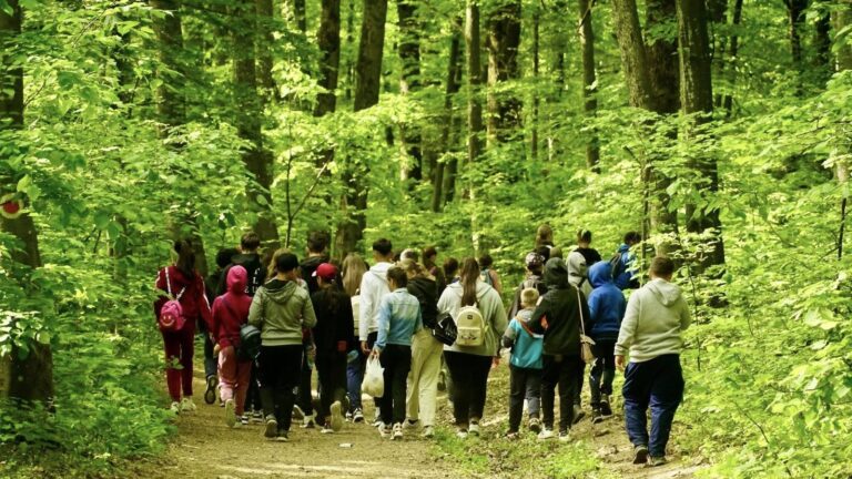 Traseul de weekend: propunerea ZDI – Idee de drumeție prin Codrii Iașului: de la Canton 20 Vama la Vârful Movila Rotundă, cu popas în Poiana Rotunda
