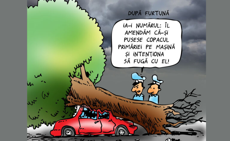 După furtună, Poliția Locală intră în acțiune  😳😟