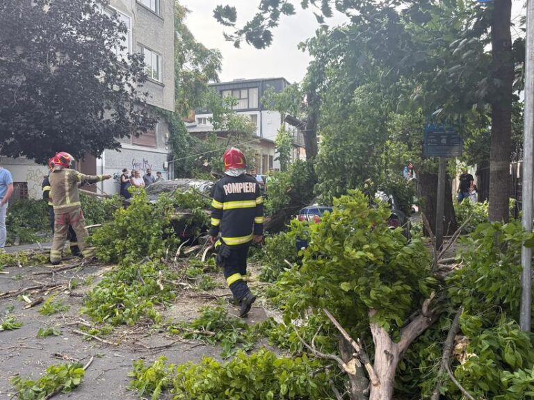 Furtuna a făcut prăpăd în Capitală. O femeie a murit, două persoane la spital după ce au fost lovite de crengi căzute, mai mulți copaci doborâți