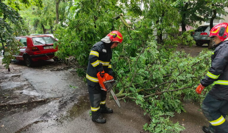 Intervenție pentru degajarea unui copac în pericol de prăbușire – municipiul Iași, strada Ciurchi