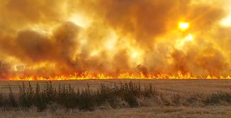 VIDEO| Incendiu puternic de vegetație în Galați. Flăcările amenință să cuprindă și o pădure