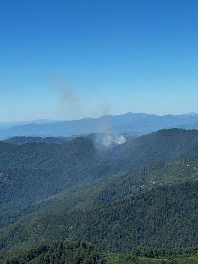  Incendiu puternic de vegetație în Masivul Ţibleş. Un elicopter Black Hawk este deja în drum spre zona afectată