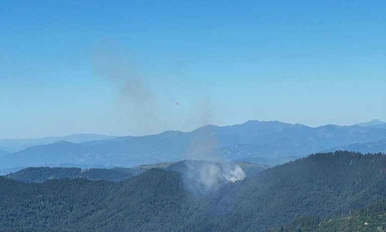 Incendiu puternic de vegetație în Masivul Ţibleş. Un elicopter Black Hawk este deja în drum spre zona afectată