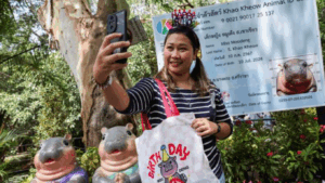 Moo Deng, un pui de hipopotam din Thailanda vedetă pe internet, își sărbătorește prima aniversare