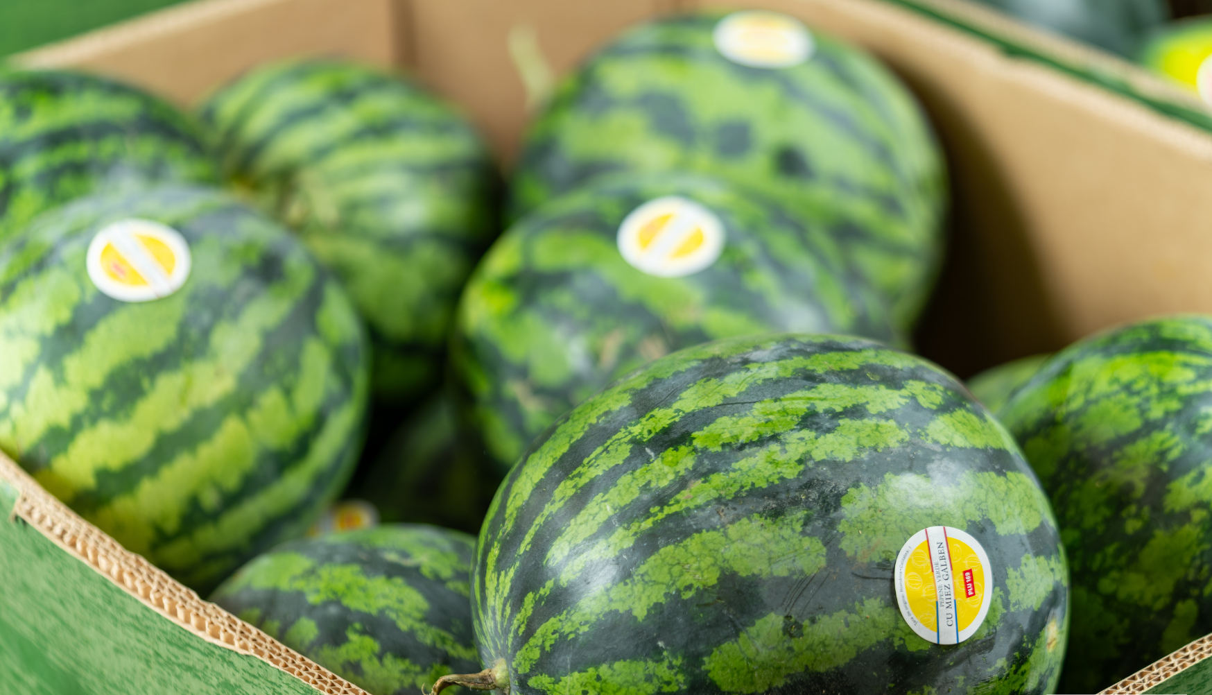 Lidl se „laudă” că are la raft cinci tipuri de pepeni „cultivați 100% în România”, inclusiv un sortiment special, bogat în antioxidanți rari