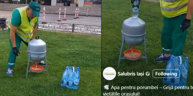 Angajații Salubris Iași pare că dau apă minerală porumbeilor în dispersoare special amenajate. Conducerea neagă, ieșenii se amuză: „e pentru șpriț”
